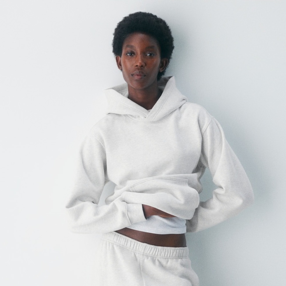 Aritzia Hoodie
